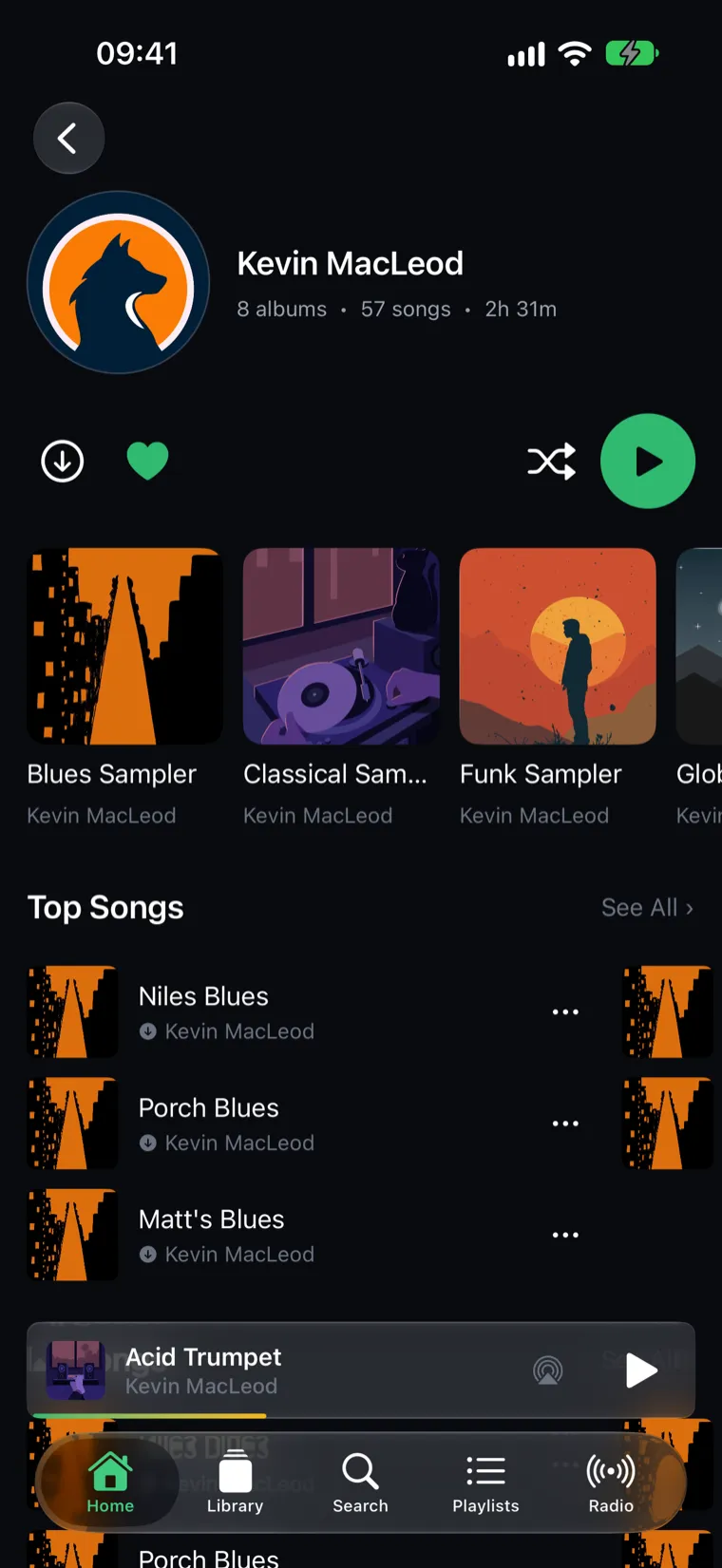 An artist page in SubSonify: cover art, album count and the artist's top songs